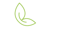 3000 Distribution