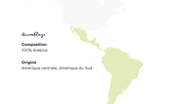 Tales Of TORINO Lungo - Lavazza FIRMA, Toulouse, 3000 Distribution